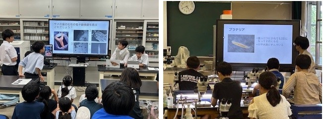電子顕微鏡　生物